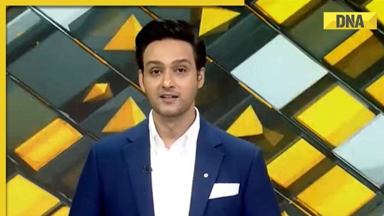 DNA TV Show: Passenger hits IndiGo pilot over flight delay, here's what really happened