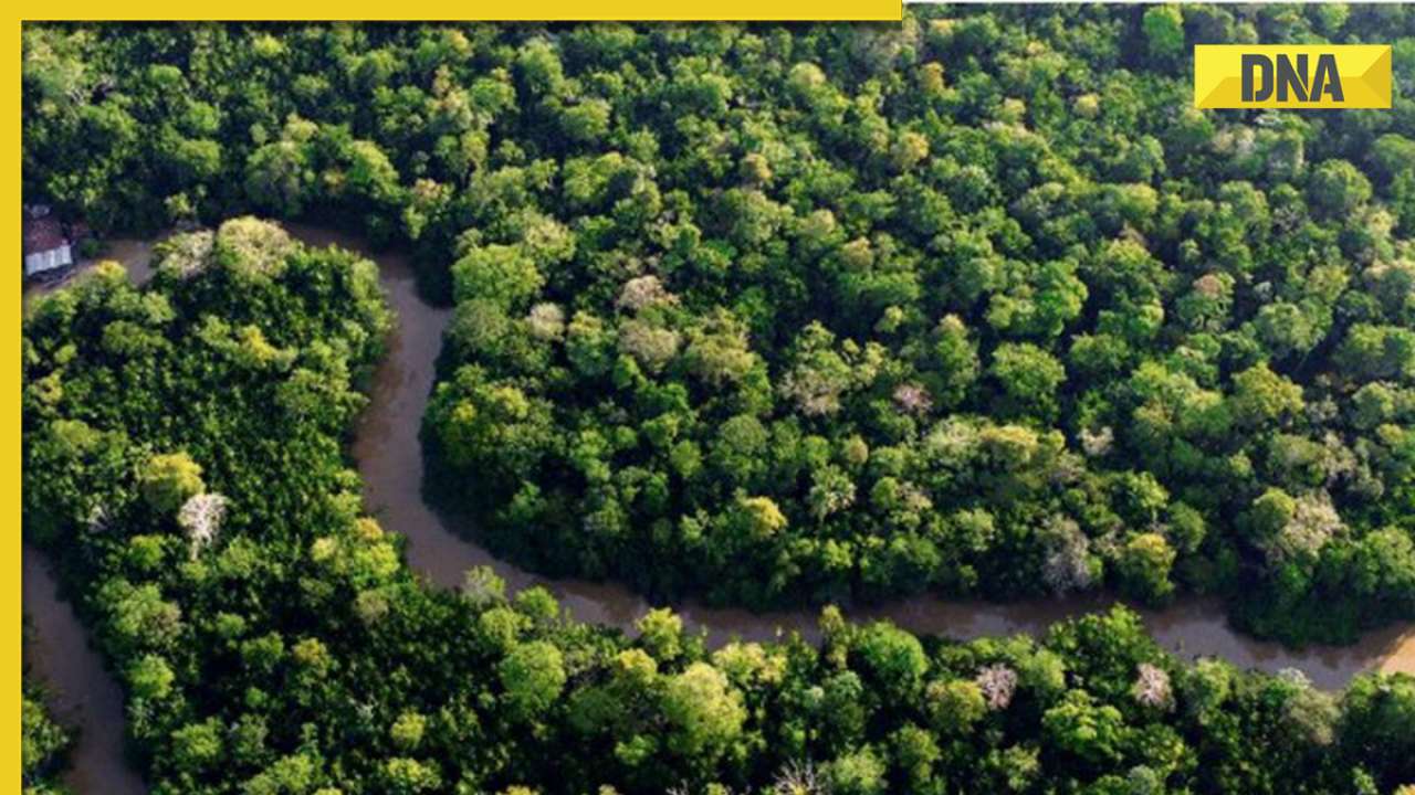 2,500-year-old ancient megacity unearthed in Amazon, details here