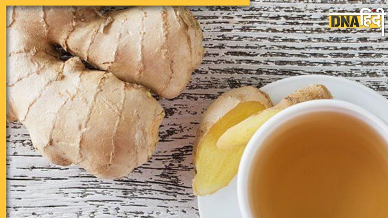 Ginger Tea Benefits: महंगी हर्बल टी की बजाय अदरक की इस चाय से करें दिन की शुरुआत, मिलेंगे 5 जबरदस्त फायदे