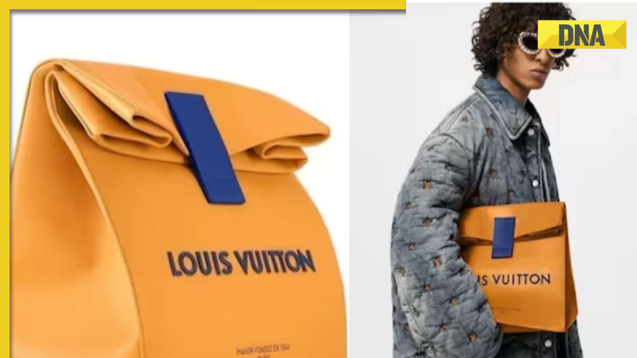 'Aakhir kyu': Louis Vuitton's Rs 2.8 lakh 'sandwich bag' sparks online debate
