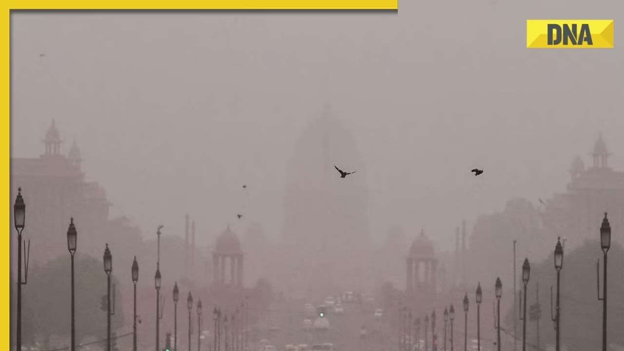 Weather update: Delhi witnesses another cold, foggy day as temperature drops to 4°C