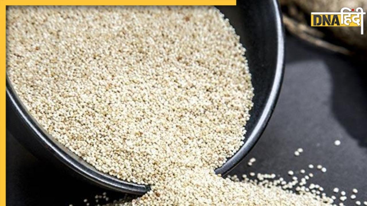 Poppy Seeds Benefits: स्किन डिजीज से कब्ज-ब्लड प्रेशर तक, इन समस्याओं का रामबाण इलाज है खसखस, ऐसे करें इस्तेमाल