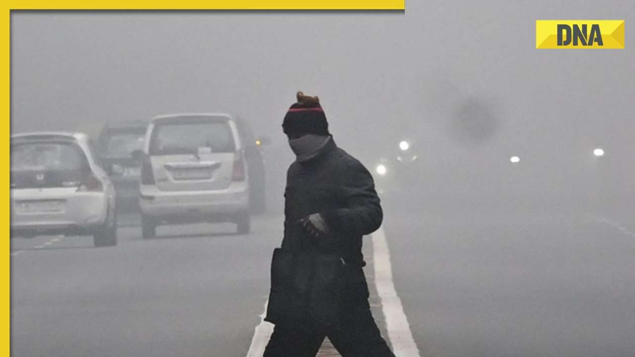 Weather Update: IMD predicts dense fog, cold day conditions in these states till Jan 21, check forecast here