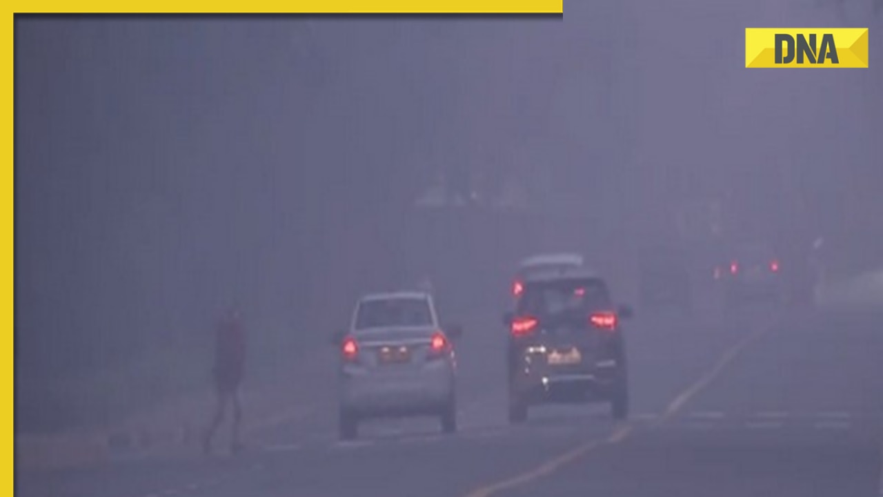 Weather update: Visibility in Delhi-NCR improves after days of dense fog
