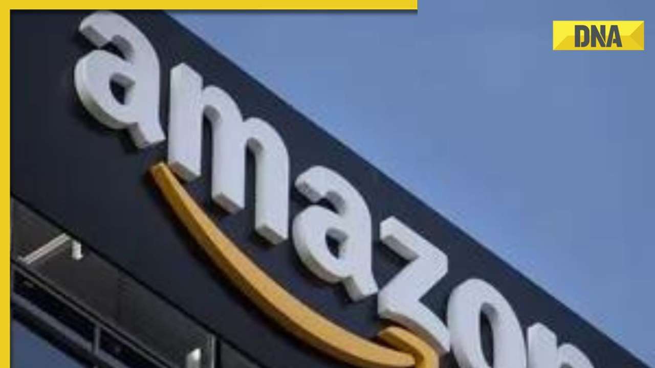 Amazon faces notice for misleading consumers with 'Ram Temple Prasad' sweets