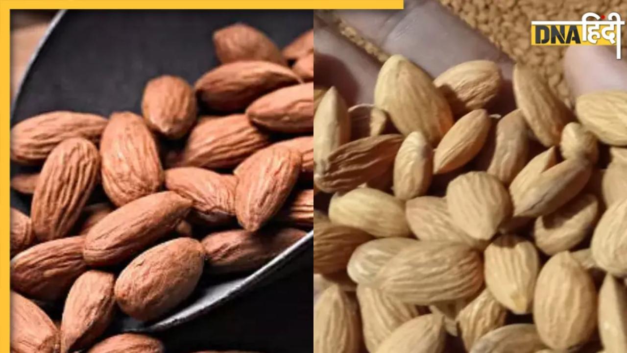 How to Identify Fake Almonds: बाजार में धड़ल्ले से बिक रहा नकली बादाम, खरीदते समय इस तरह चेक करें प्योरिटी