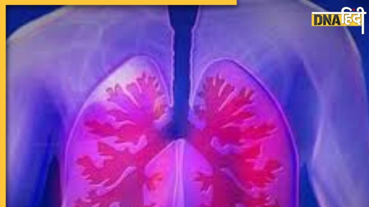 Detox Lungs: फेफड़ों को साफ करने के लिए घर पर करें ये अभ्यास, लग्स की बढ़ जाएगी कार्य क्षमता