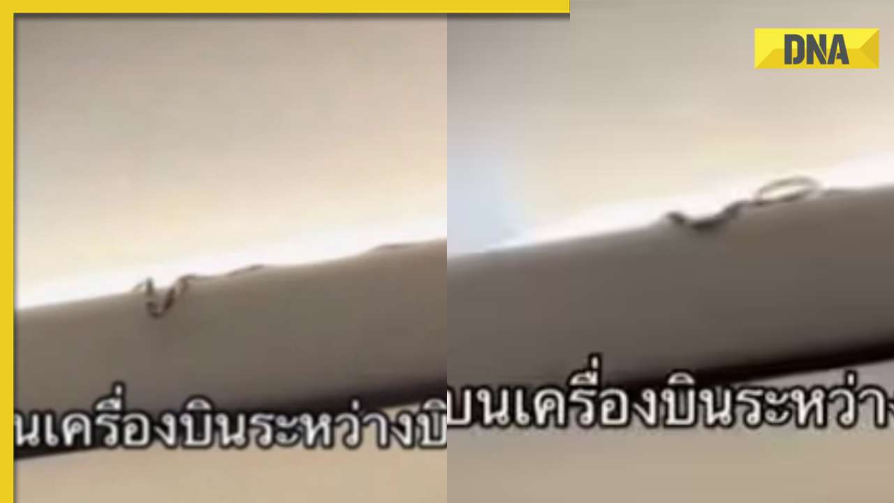 Live snake found on Thai Air Asia flight, viral video shocks internet