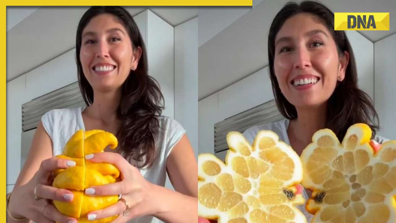 'Monstrous fruit': Giant lemon of unique shape goes viral with 25 million views