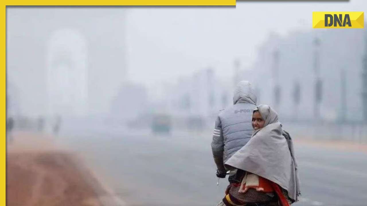 Delhi Weather Update: Cold wave conditions persist in capital, IMD issues yellow alert for...