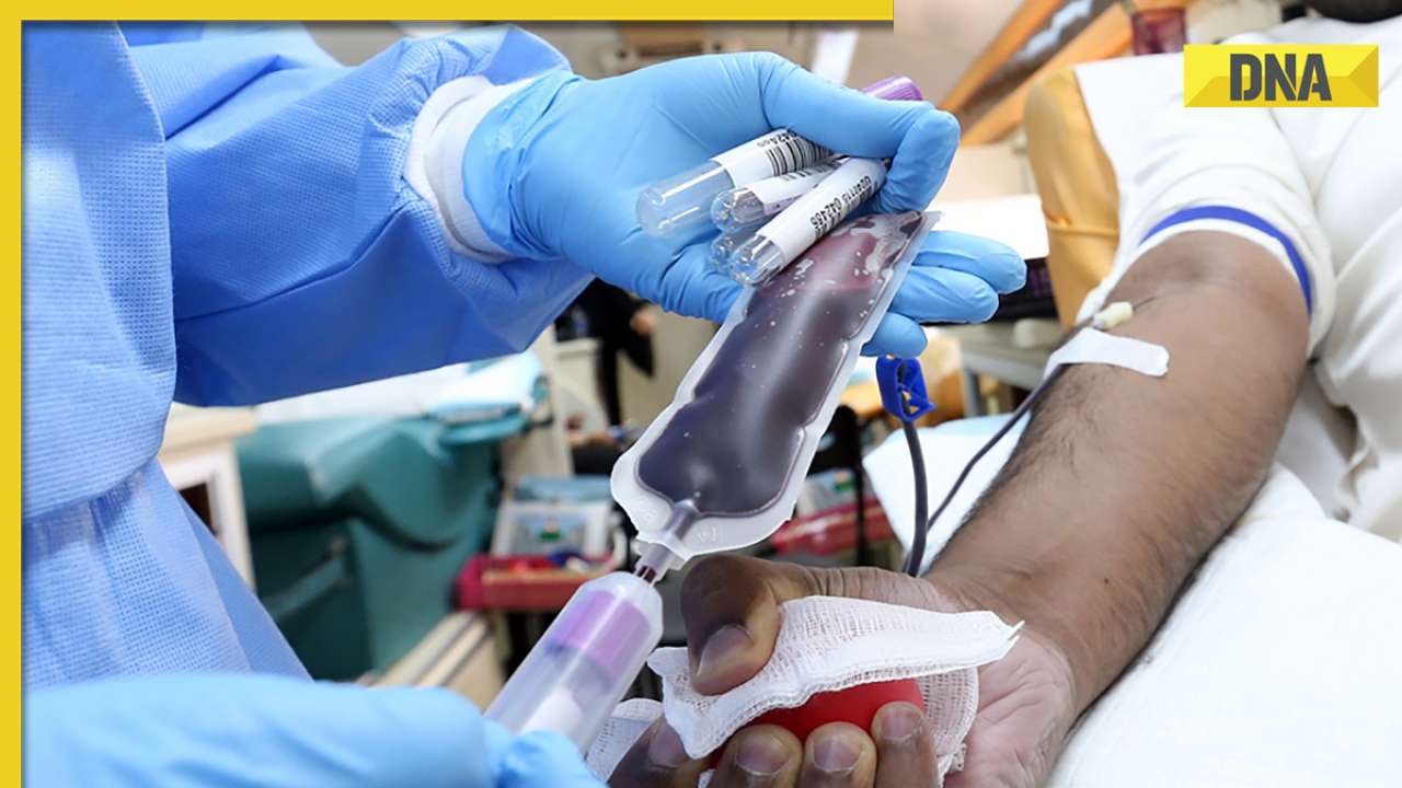 National Blood Donor Month: Know how donating blood affects your body, precautions to take