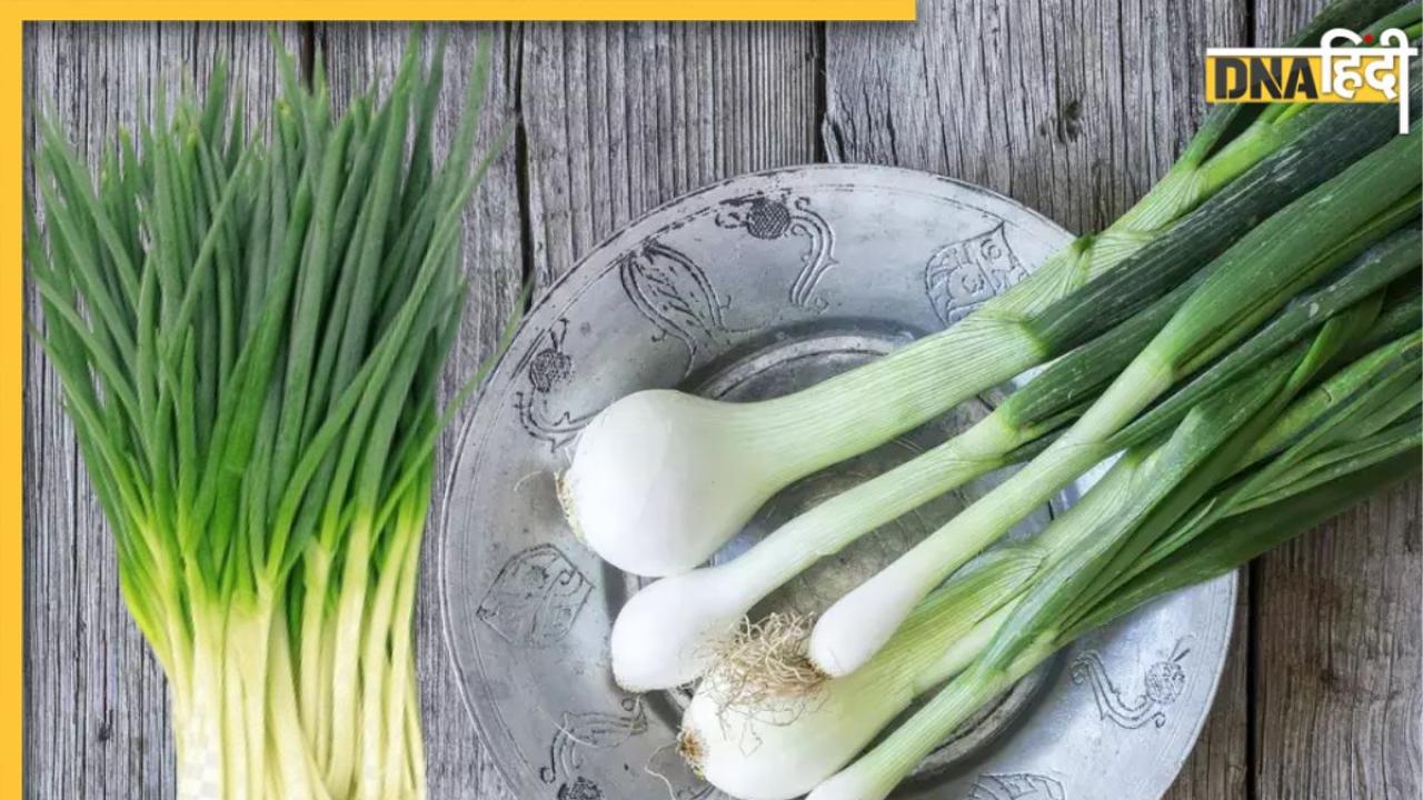 Garlic Leaves Benefits: इन बीमारियों में रामबाण औषधी का काम करती हैं लहसुन की पत्तियां, ऐसे करें इस्तेमाल