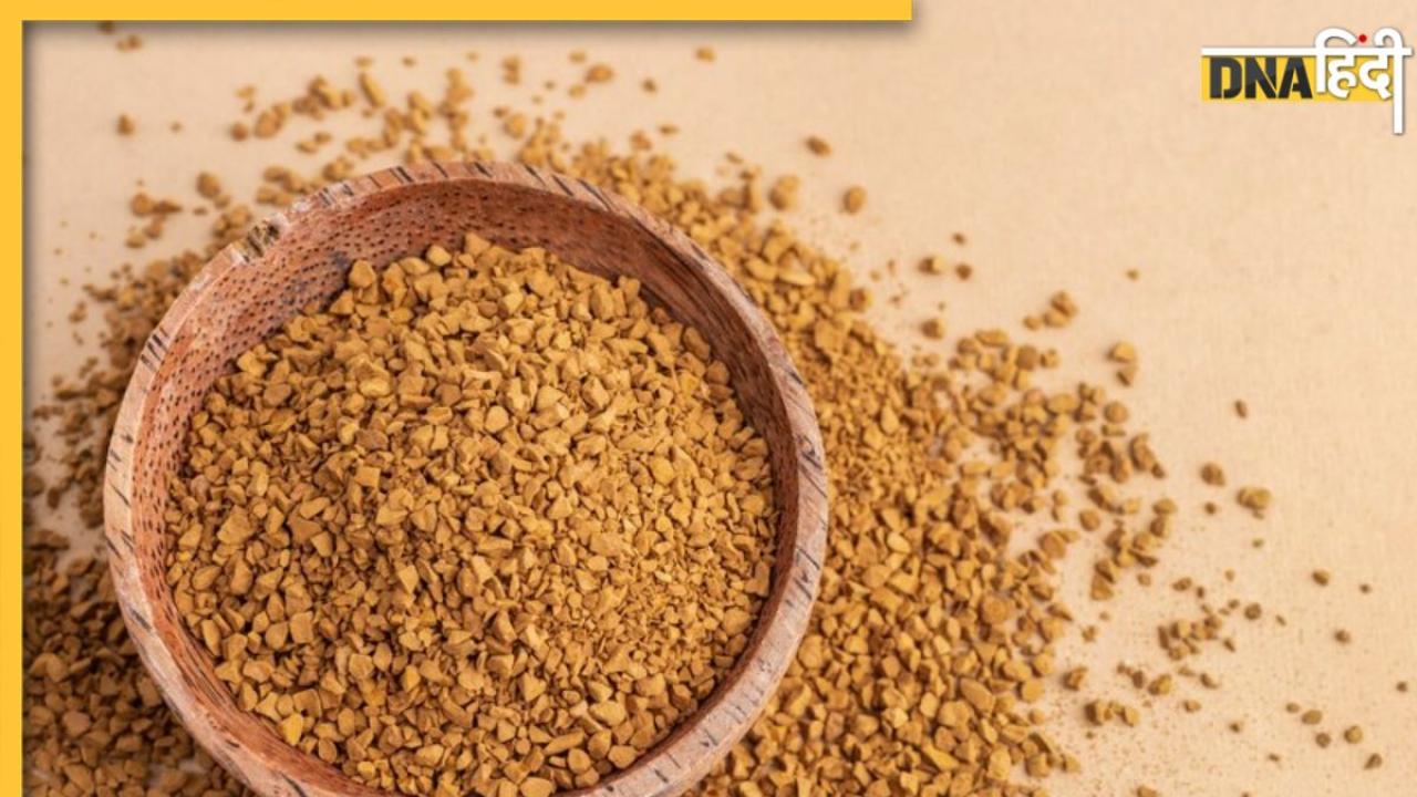 Fenugreek Seeds Benefits: ठंड में इन गंभीर बीमारियों से दूर रखेंगे मेथी के छोटे दाने, डायबिटीज भी रहेगा कंट्रोल