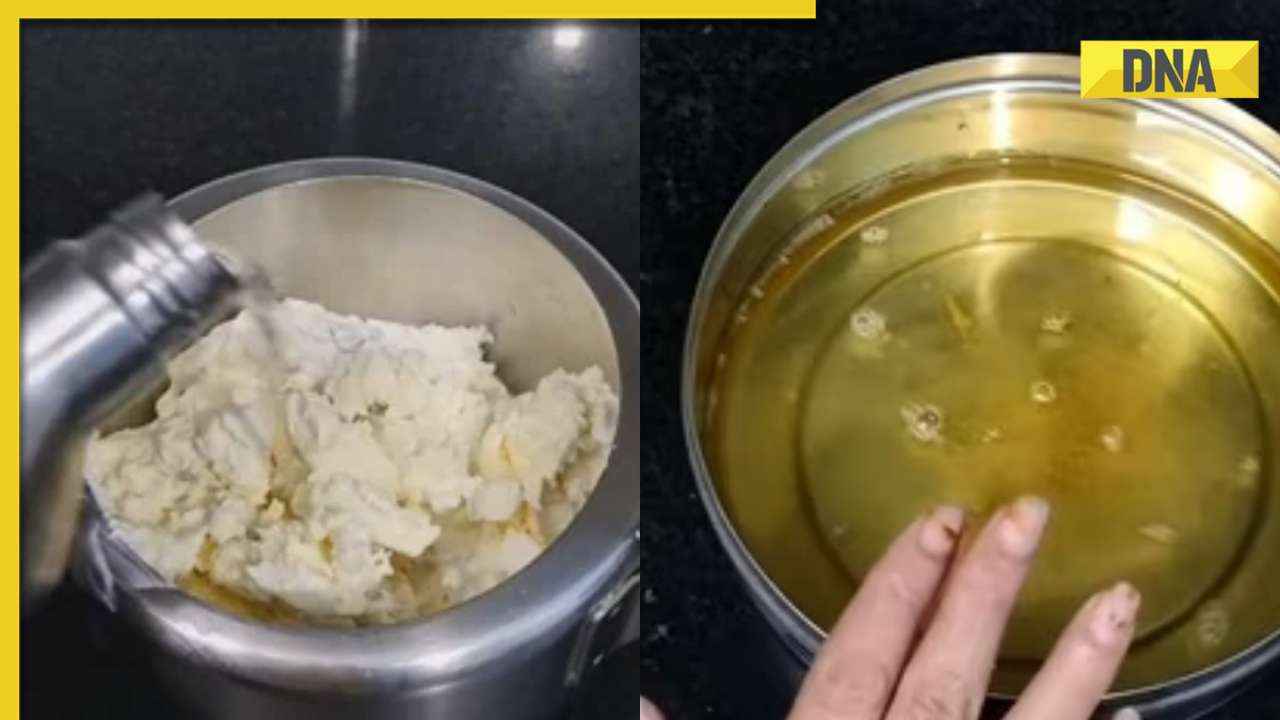 Viral video on quick ghee-making technique gathers 28 million views, sparks internet debate