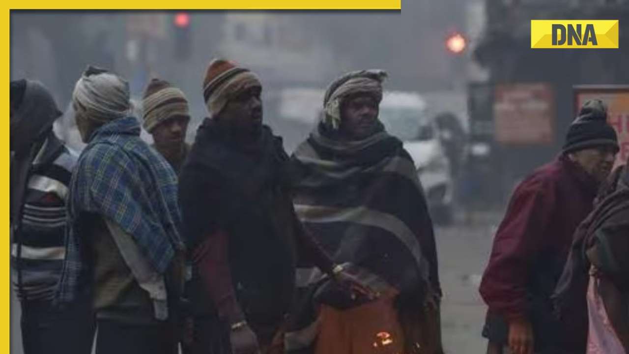 Weather update: IMD issues severe cold wave, dense fog in these states till Jan 29; check forecast here
