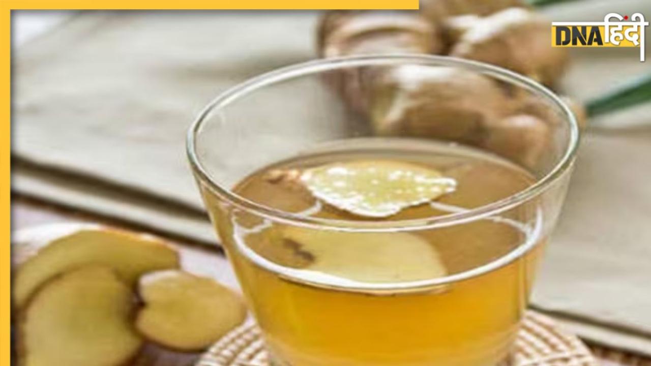 Ginger Water Benefits: अदरक की चाय ही नहीं, बल्कि अदरक का पानी भी हैं सेहतमंद, दूर रहेंगी ये 5 बीमारियां