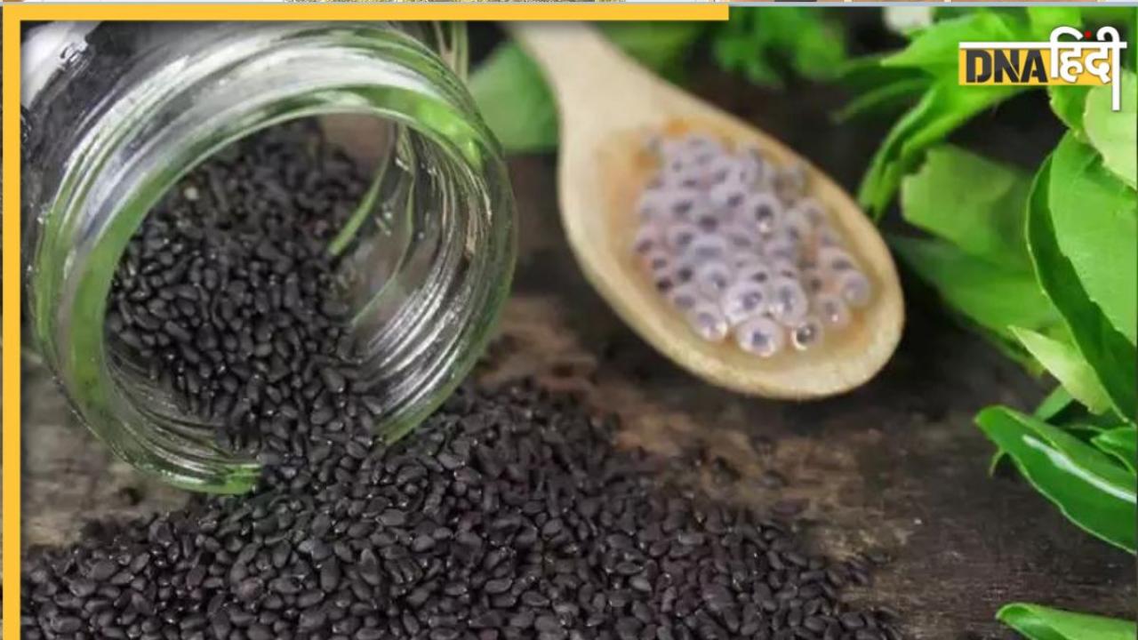 Basil Seeds Benefits: सुबह खाली पेट तुलसी के बीज खा लिया तो ब्लड शुगर से लेकर कोलेस्ट्रॉल तक होगा कम