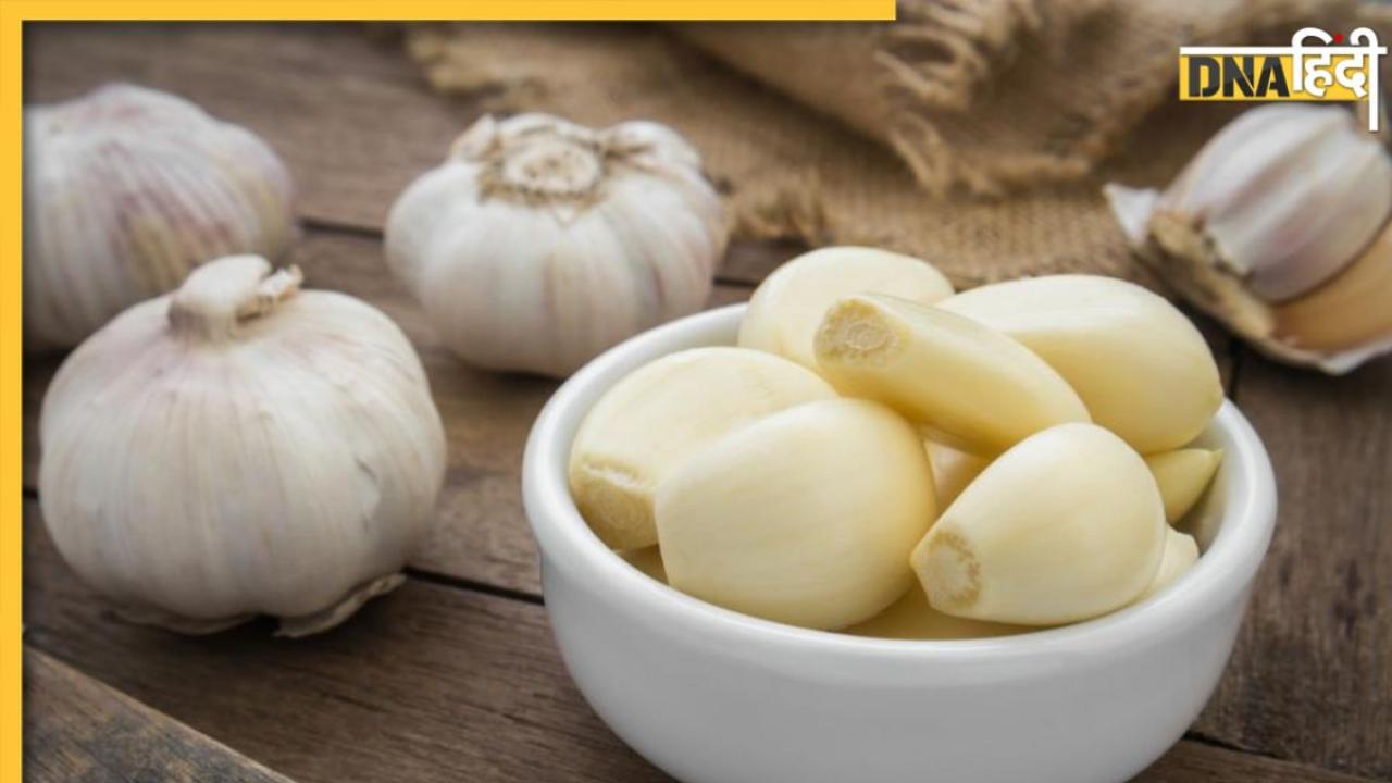 Garlic Benefits: खाने का स्वाद बढ़ाने के लिए ही नहीं, सेहत के लिए फायदेमंद है लहसुन, इस तरह खाने से मिलेंगे 5 फायदे