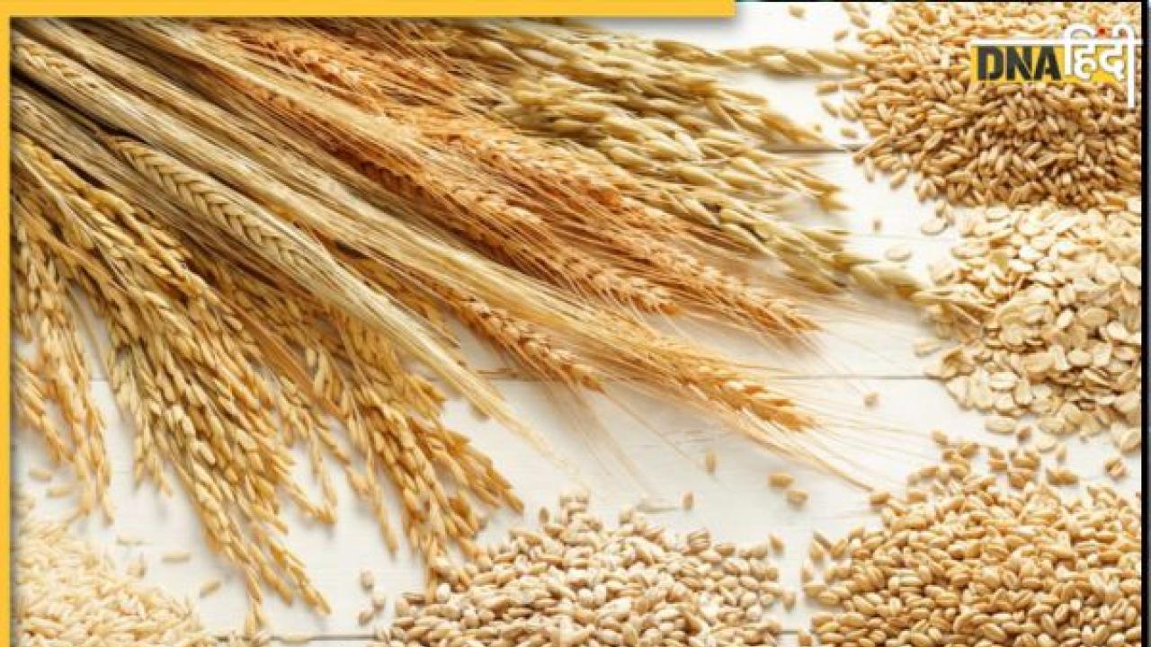 Shocking News: चावल और गेहूं के बारे में चौंकाने वाली आई ये खबर, जानिए ICAR ने क्या दी है चेतावनी