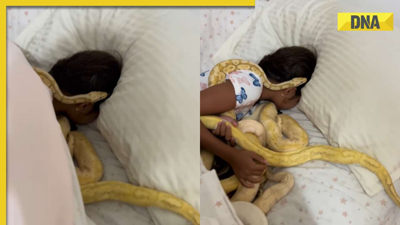 Little girl wakes up next to giant snakes, scary video goes viral