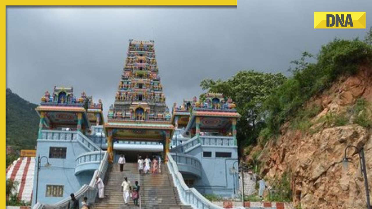 'Temple not tourist or picnic spot': Madras HC on banning entry of non-Hindus in Palani temples