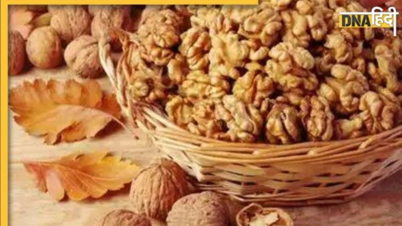 Superfood Walnuts: नाश्ते के लिए सबसे अच्छा सुपरफूड है अखरोट, जानिए रोजाना कितने अखरोट खाएं