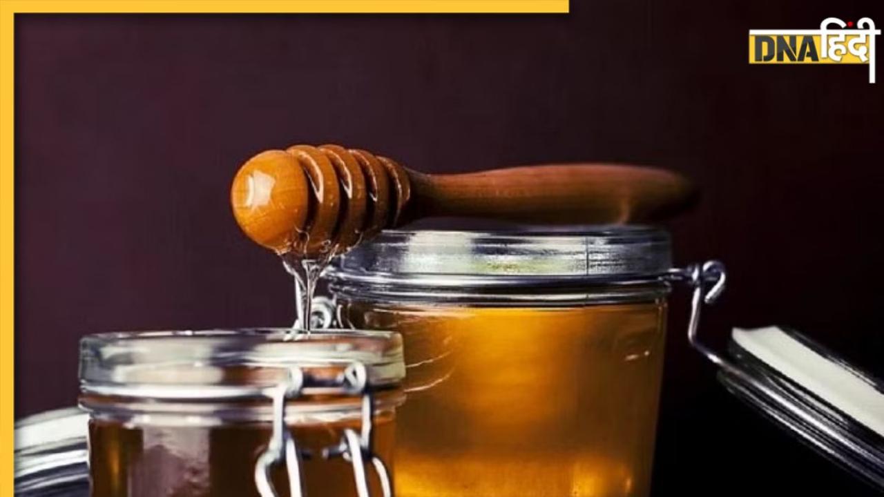 Honey Purity Test: असली है या नकली ऐसे करें शहद की शुद्धता की जांच, यहां देखें 4 आसान तरीके