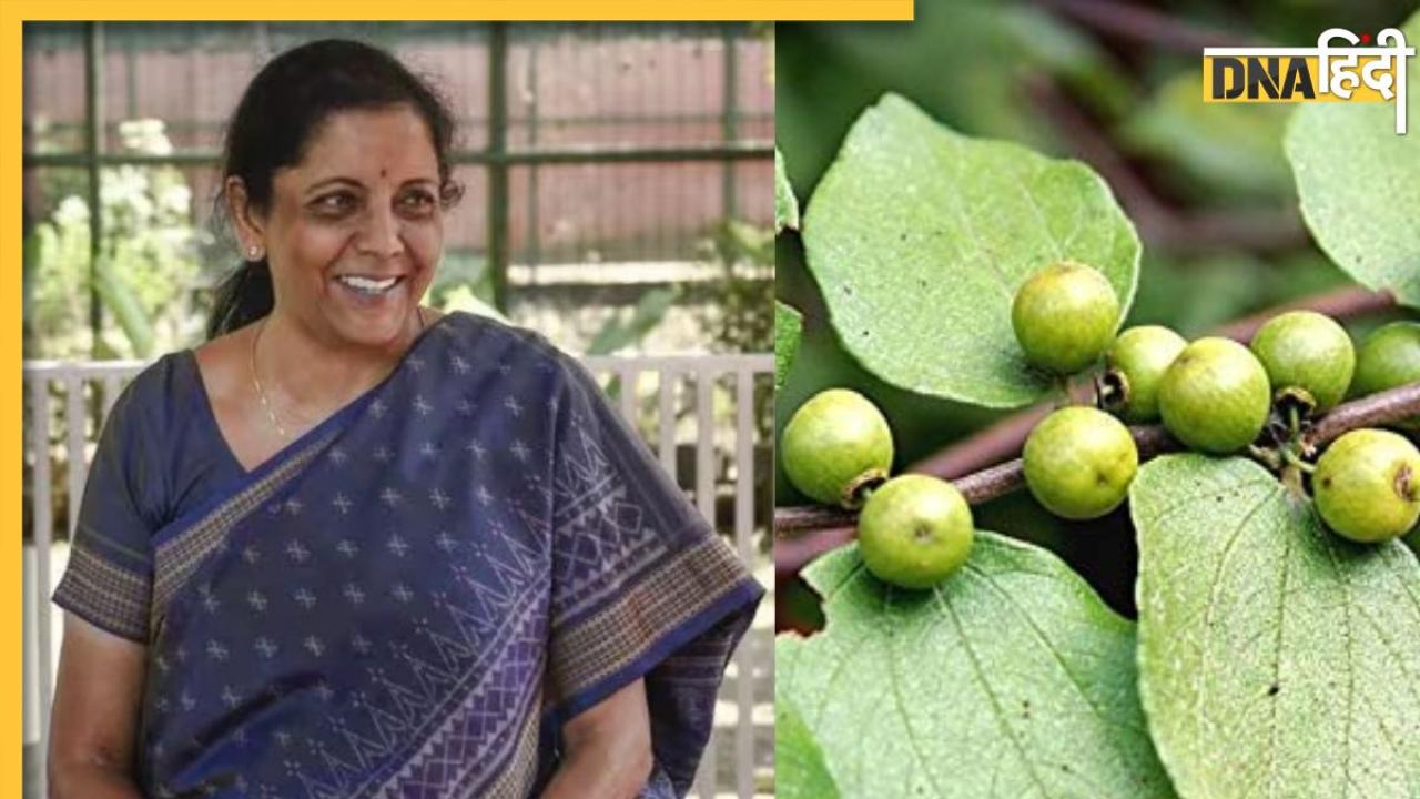 वित्त मंत्री Nirmala Sitharaman को पसंद है ये जंगली बेर, फायदे जानकर आप भी खाना कर देंगे शुरू