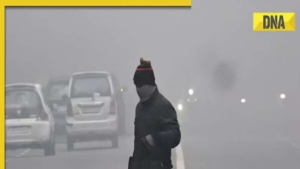 Weather update: Shallow fog covers Delhi-NCR, low visibility hampers flight and train services
