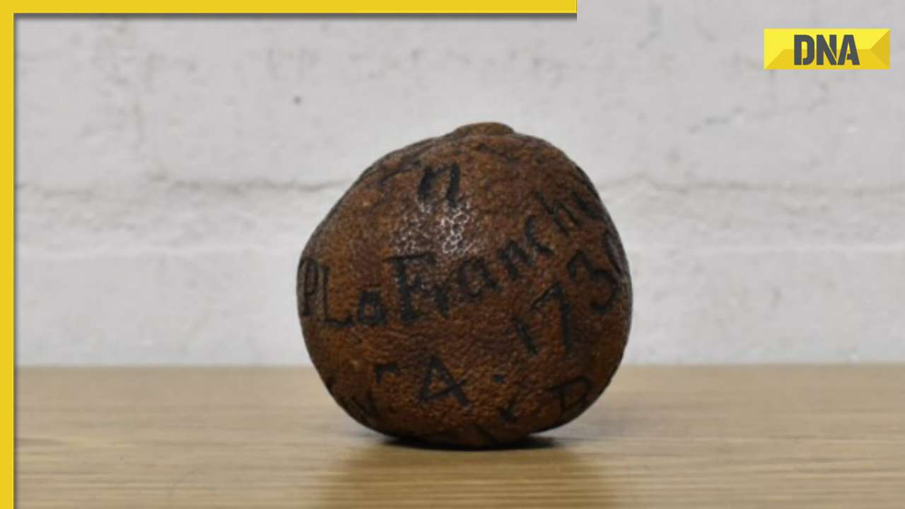 285-year-old lemon discovered in deceased man's cabinet sold for over ₹1.48 lakh, details here