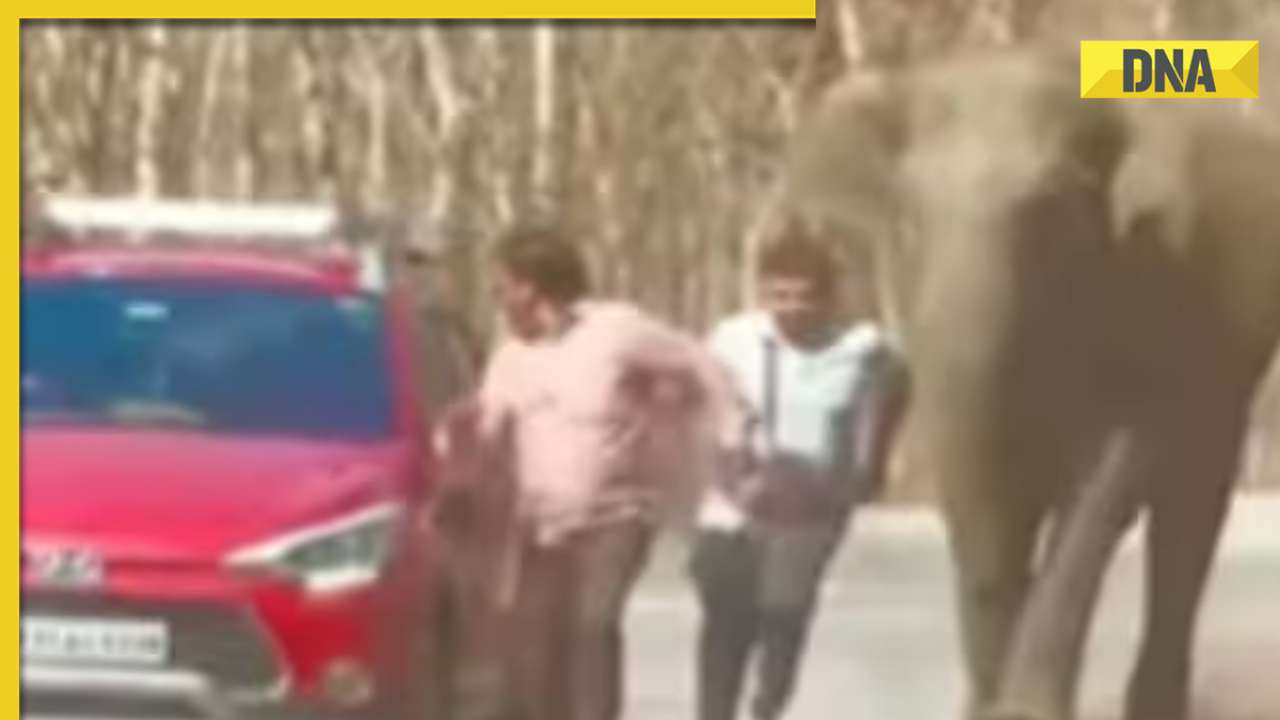 Watch: Angry elephant charges at two men, viral video shocks internet