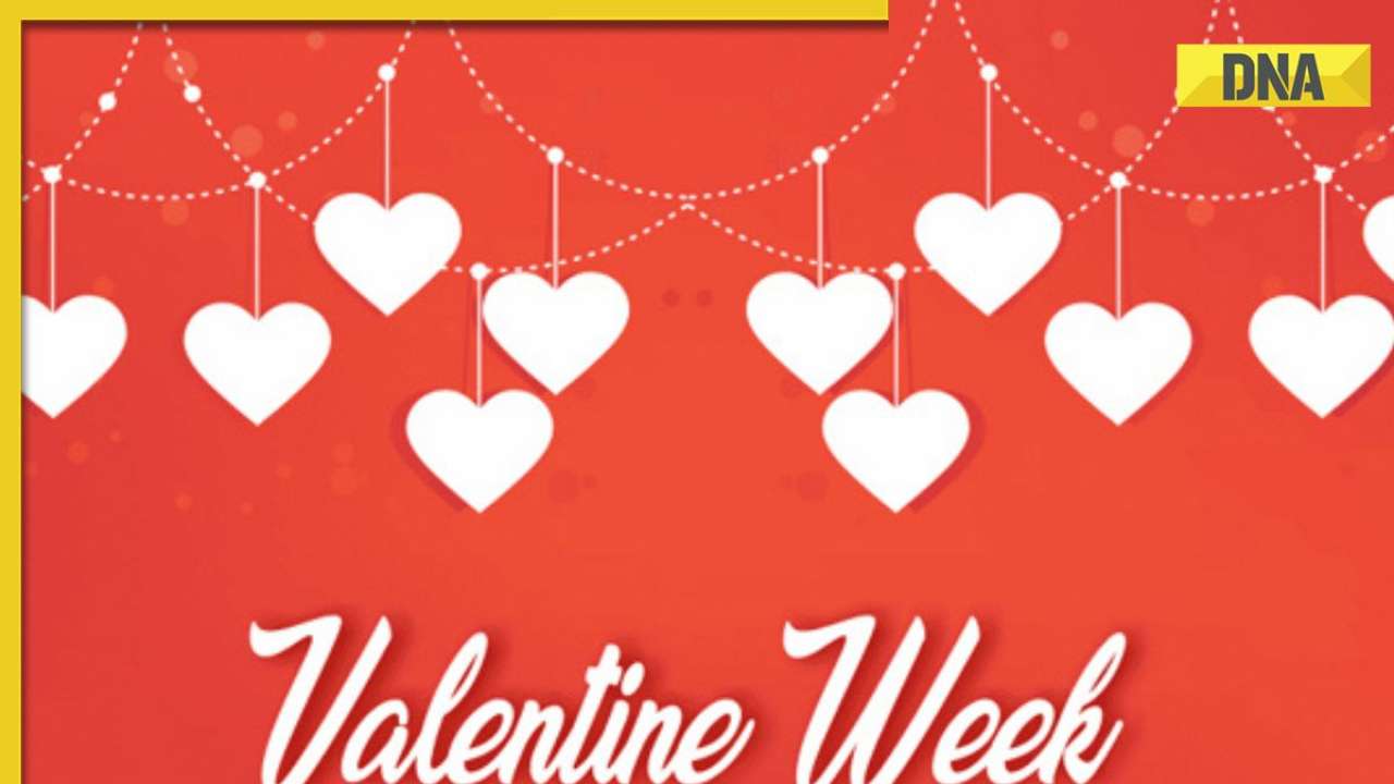 Valentine's Week Full List 2024: Rose Day to propose day, all you need to know about 7 days of love