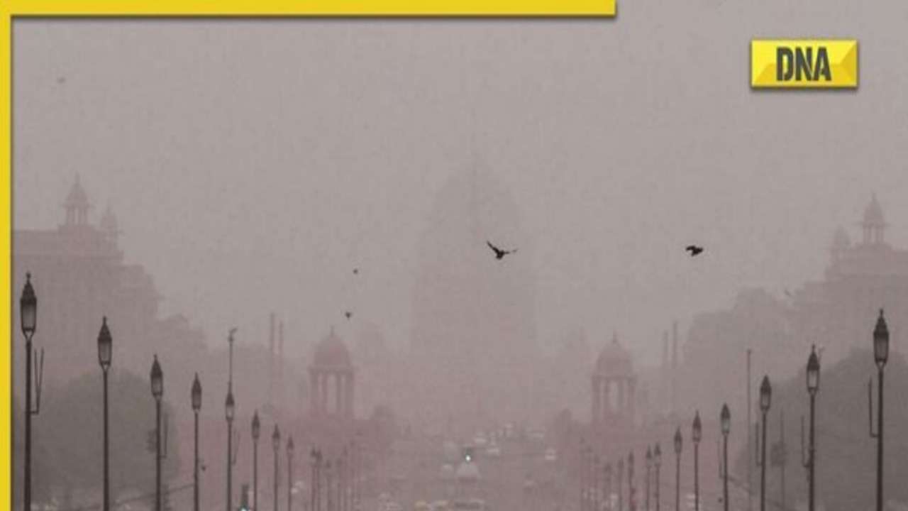 Delhi weather update: IMD predicts light rain today, check full forecast here 