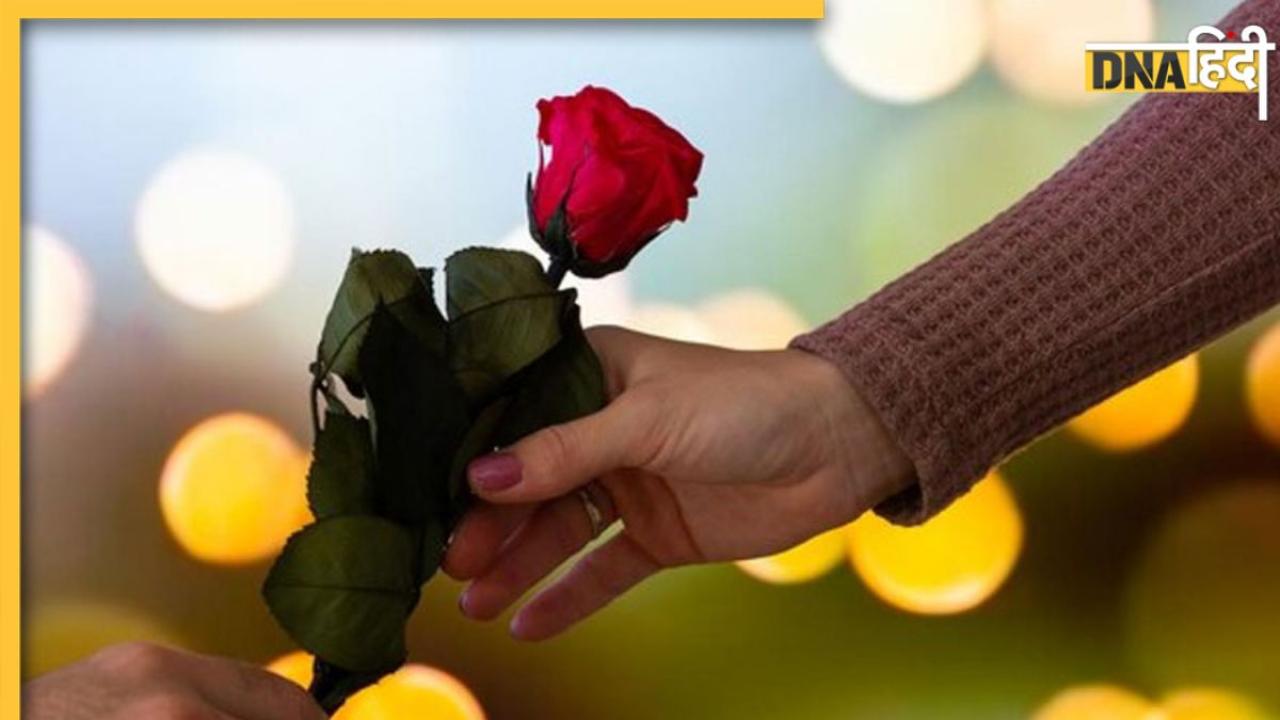 Rose Day 2024 Wishes: शायराना अंदाज में पार्टनर को विश करें रोज डे, यहां से भेजें अपने प्यार को प्यारे मैसेज