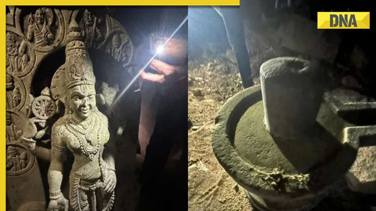 Video: Ancient Lord Vishnu statue, resembling Ram Lalla, found in Karnataka riverbed; watch