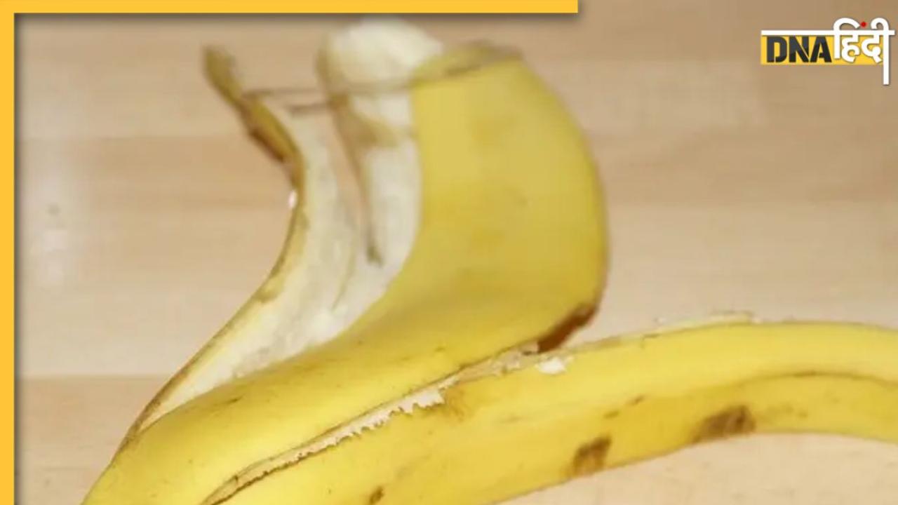 Banana Peel Benefits: कूड़ा समझकर फेंक देते हैं केले के छिलके तो जरा ठहर जाएं, इन 5 तरीकों से कर सकते हैं इस्तेमाल