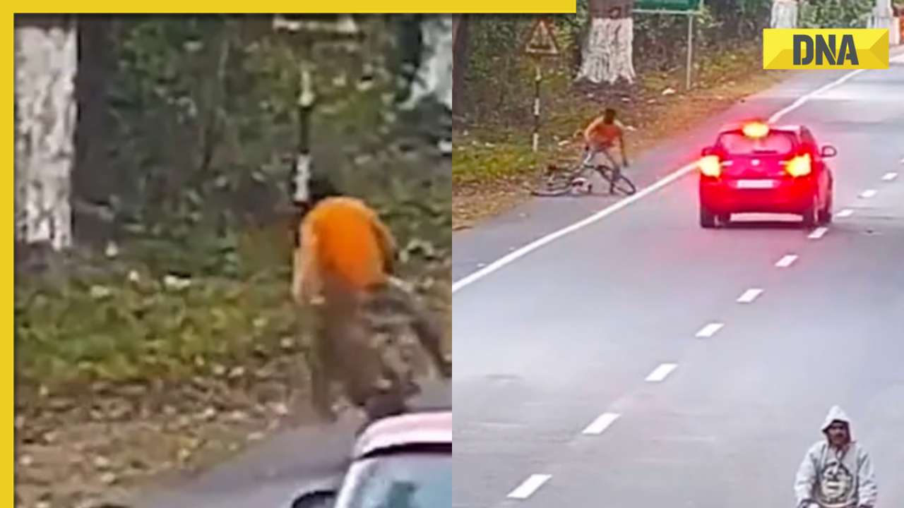 Leopard attacks cyclist on busy road, old video goes viral