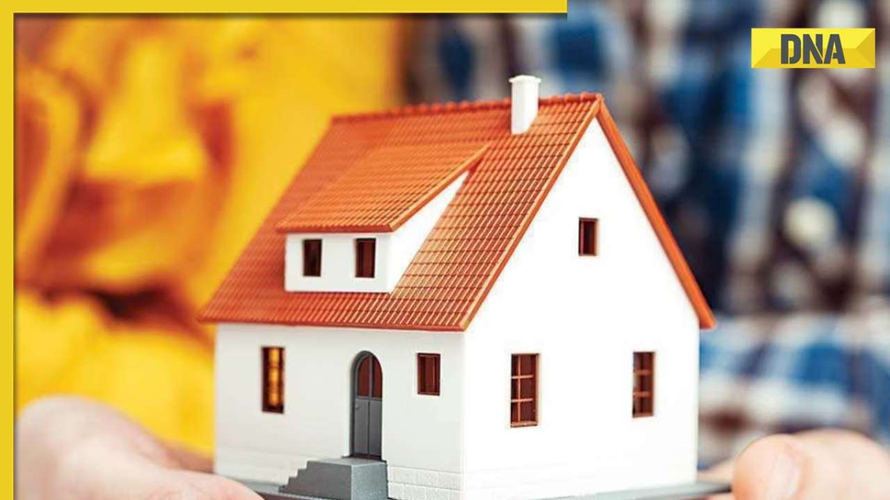 DNA Explainer: RBI keeps repo rate unchanged, what does that mean for your home loan EMIs?