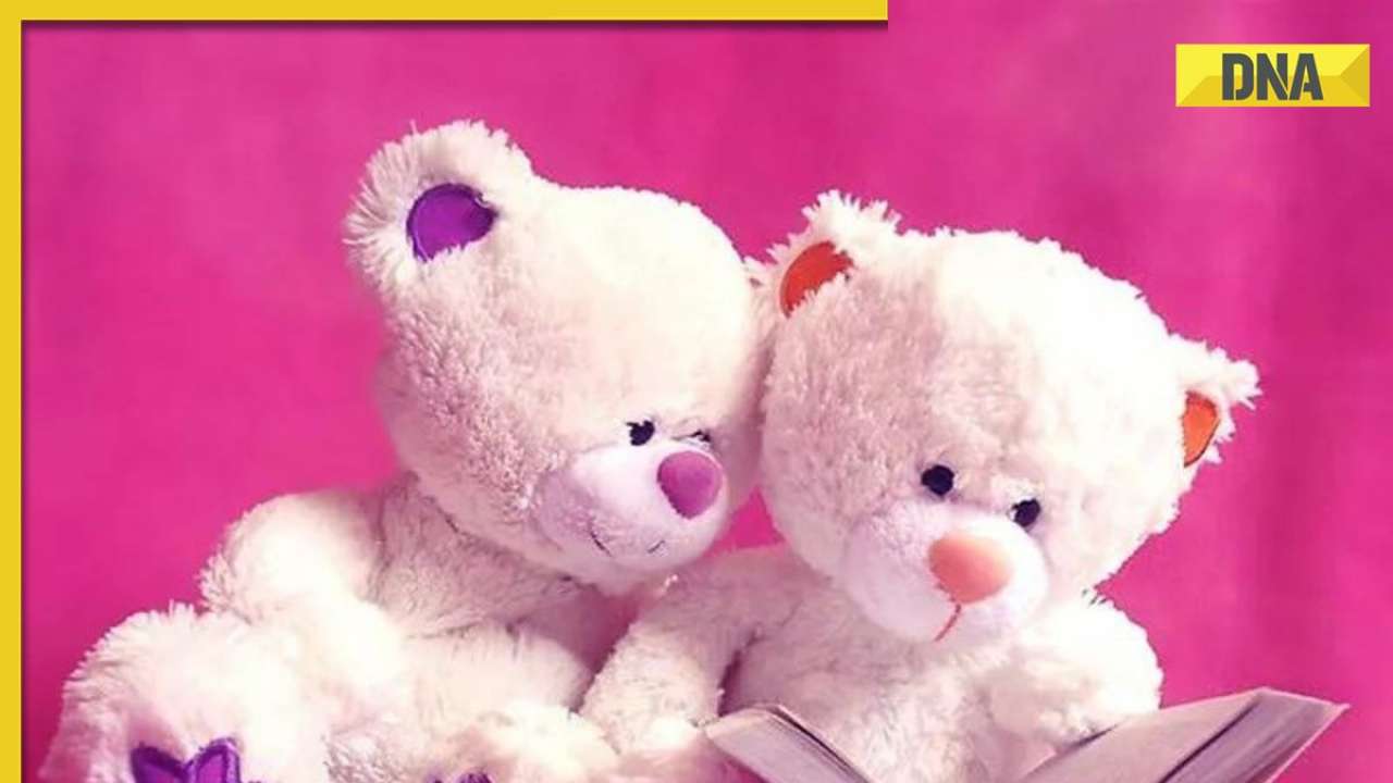 Teddy Day 2024: 5 unique ideas to celebrate with your partner