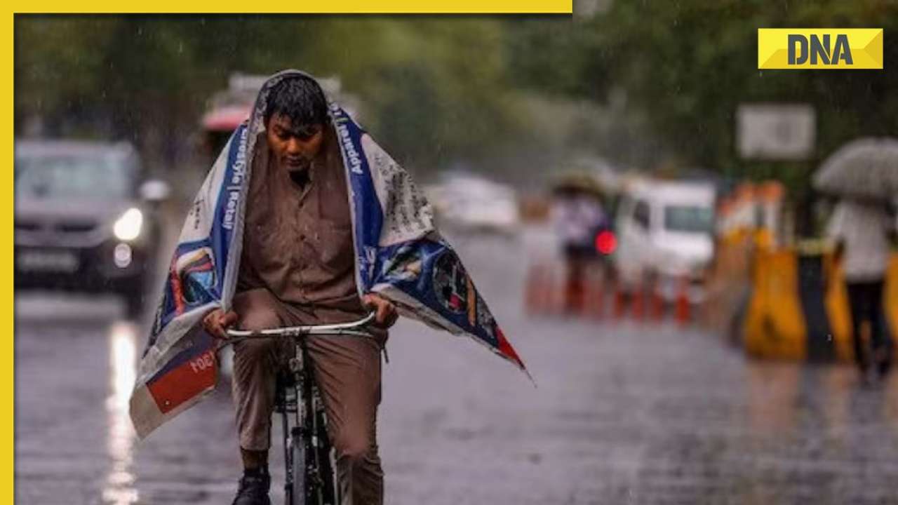 Weather Update: IMD issues rainfall, cold wave warning in these states; check forecast here
