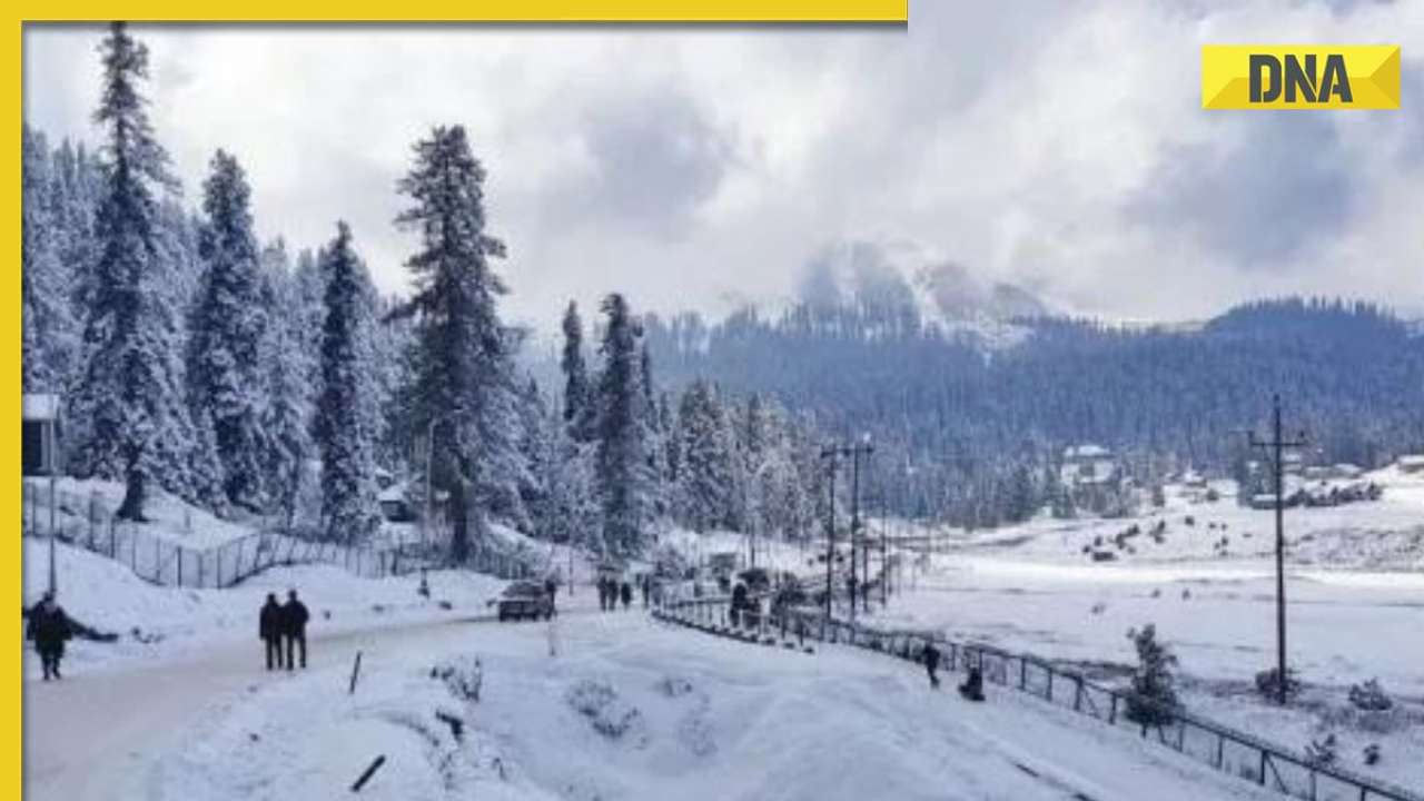 Weather update: IMD issues snowfall, rainfall, hailstorm alerts in these states till Feb 19, check forecast 