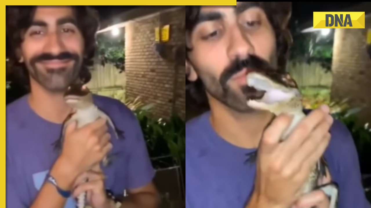 Viral video: Man's attempt to kiss baby alligator goes awry, ends with a bite
