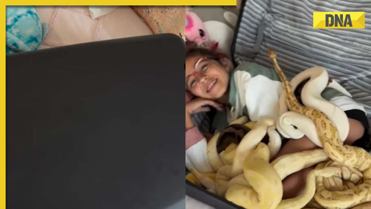 Viral video: Girl found inside trolley bag with dozens of snakes, internet is shocked; watch