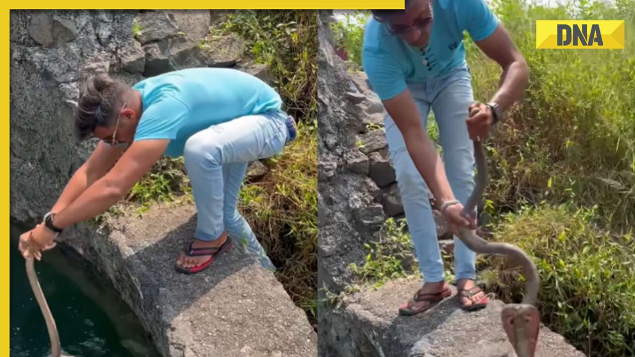 Man fearlessly grabs huge cobra from well with bare hands, video goes viral