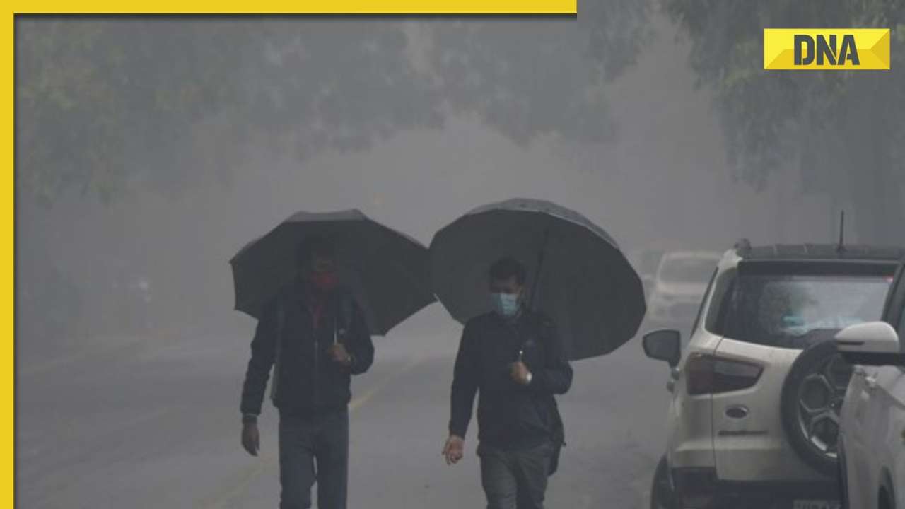 Weather update: Delhi-NCR likely to experience moderate rainfall, check forecast for other states