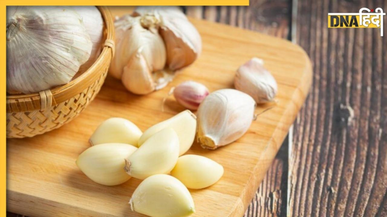 Garlic Side Effects: खाने में जरूरत से ज्यादा लहसुन के इस्तेमाल से बढ़ता है इन बीमारियों का खतरा, तुरंत कर दें कम