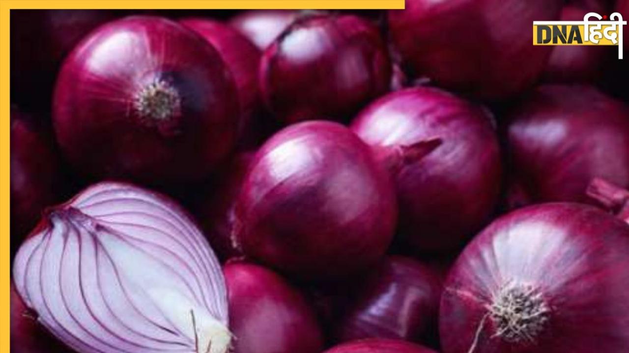 Onion Price Hike: लहसुन के बाद अब प्याज भी रुलाने को तैयार, जानिए क्यों बढ़ेंगे दाम 