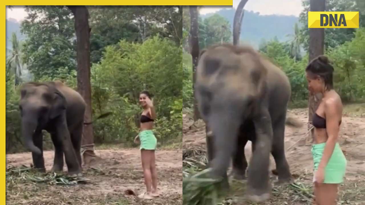Viral video: Woman's attempt to befriend elephant ends in terrifying attack, watch