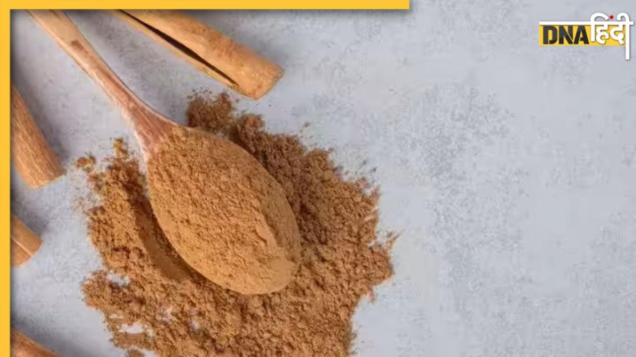  Cholesterol Ayurvedic Remedy: धमनियों में जमे प्लाक को तोड़ देंगे ये 5 आयुर्वेदिक हर्ब्स, गुड कोलेस्ट्रॉल ब्लड में लगेगा बढ़ने