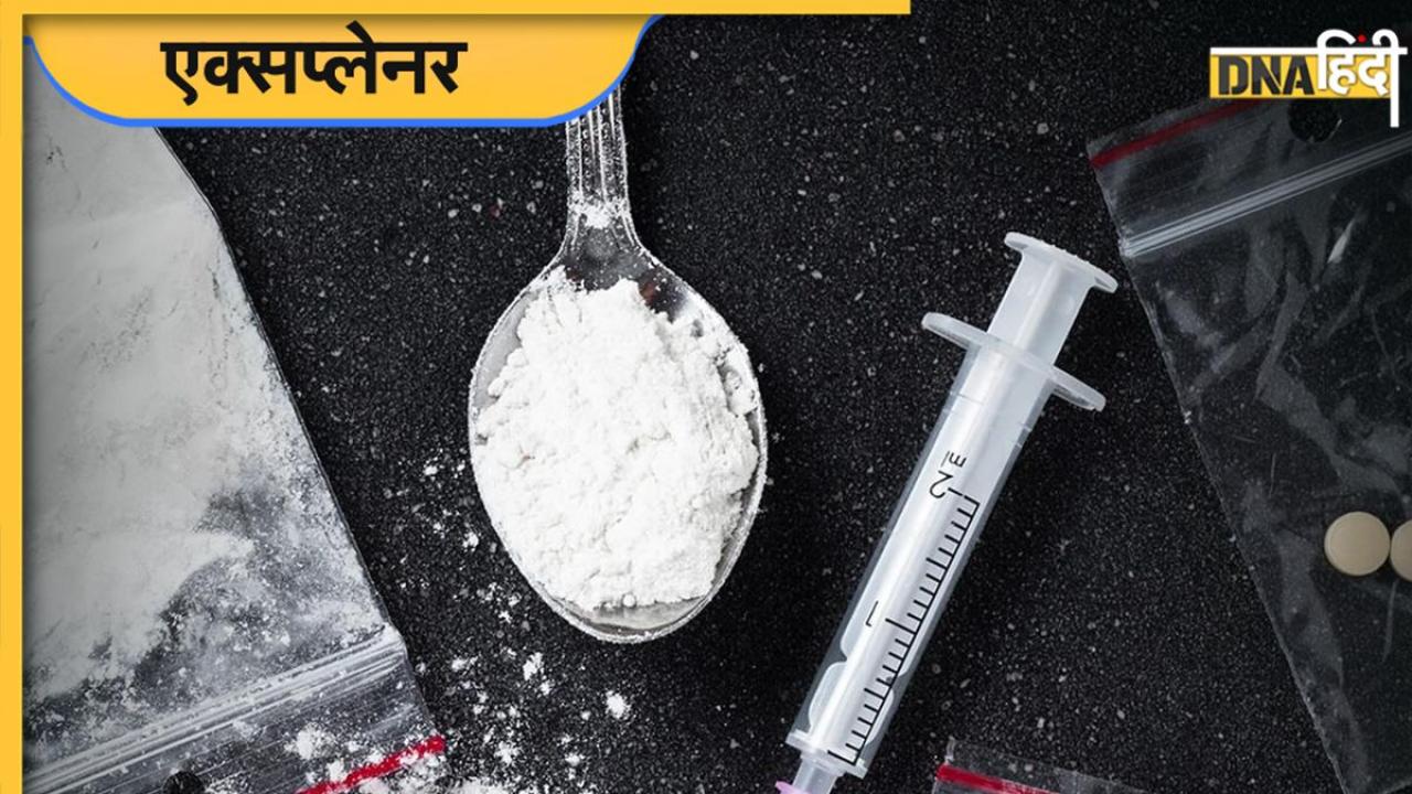 Meow Meow Drugs क्या है, पौधों की खाद से कैसे बन गई दुनिया की सबसे खतरनाक ड्रग्स, पढ़ें पूरी बात